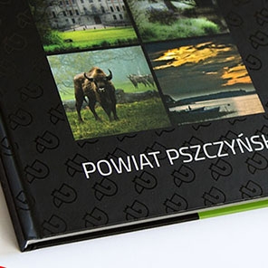 Powiat Pszczyński