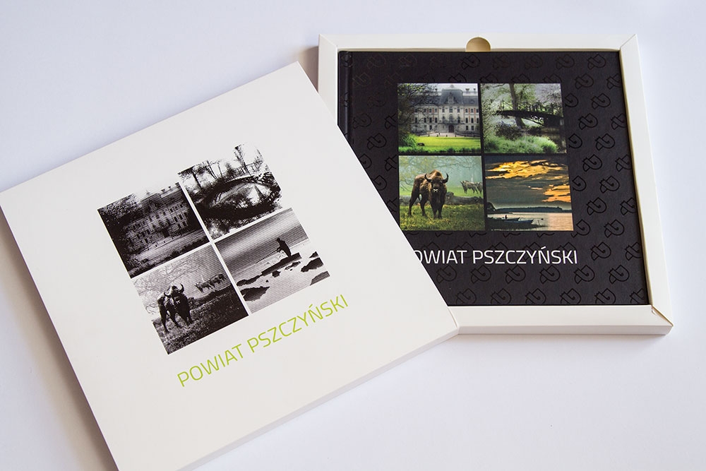 Powiat Pszczyński